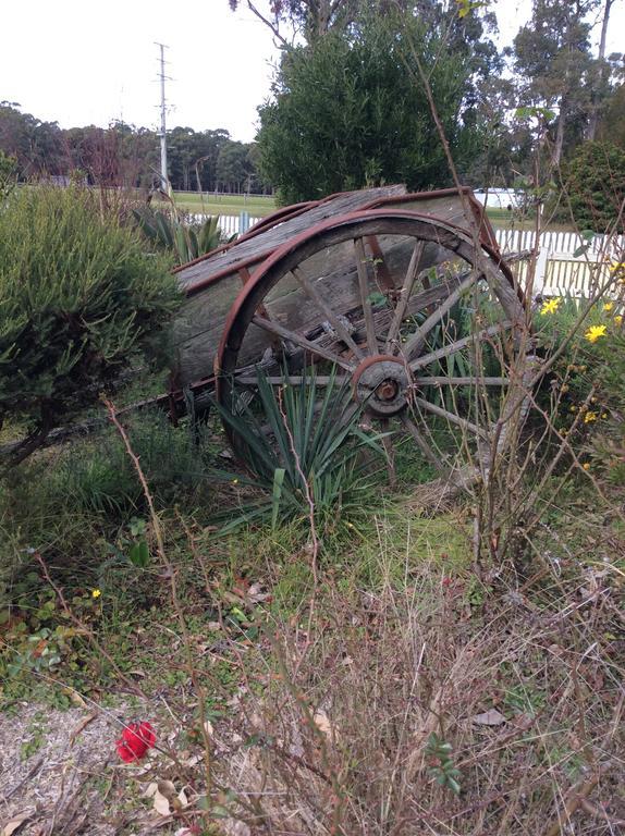 Snowy River Lodge Motel Orbost Bagian luar foto
